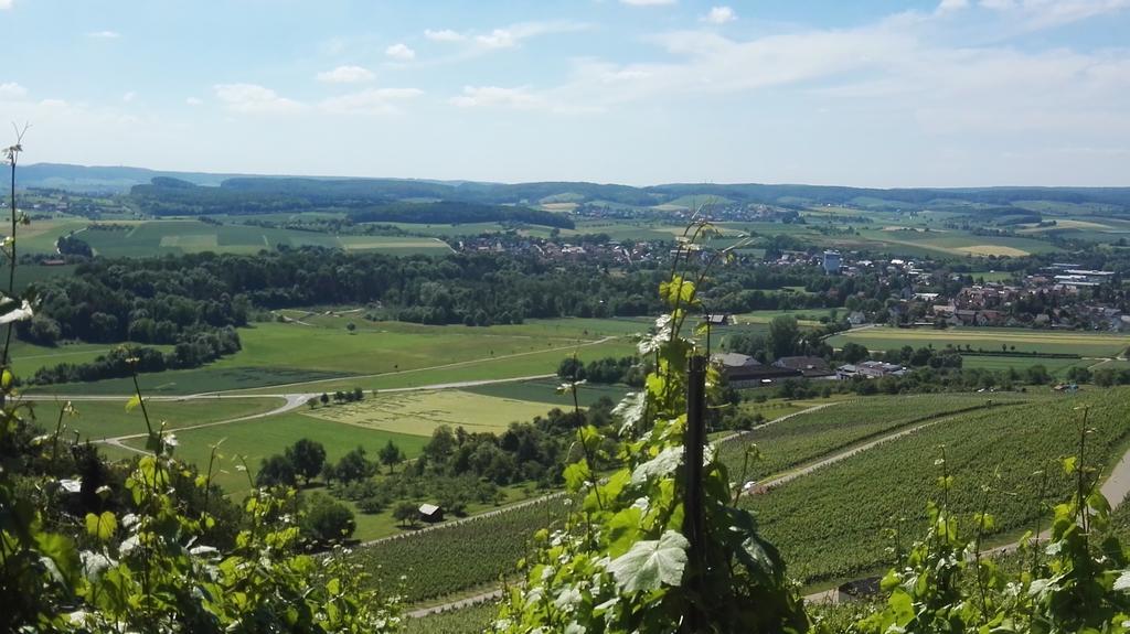 Wein- Appartements Borth Bretzfeld Eksteriør bilde
